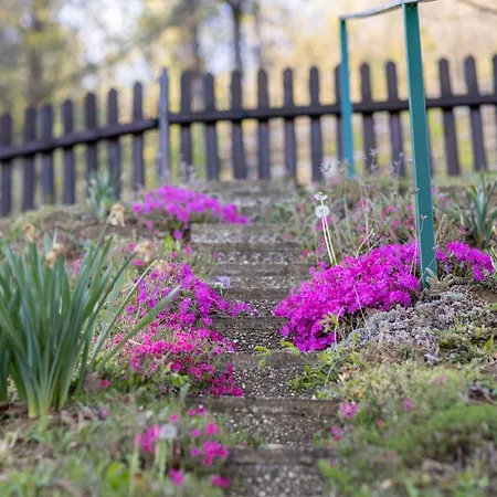 Hiska Pod Rudnico 2 Holiday home Podcetrtek